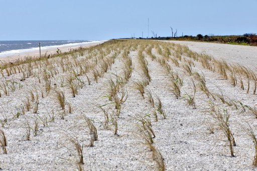 Shoreline Restoration Project