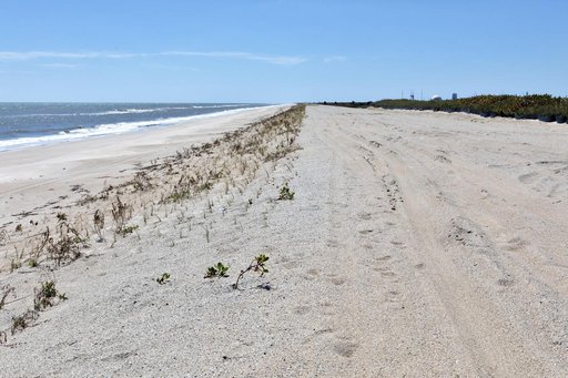 Shoreline Restoration Project