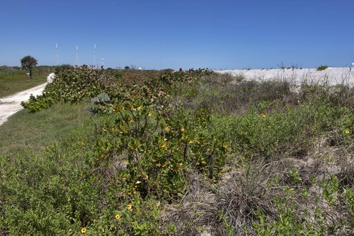 Shoreline Restoration Project