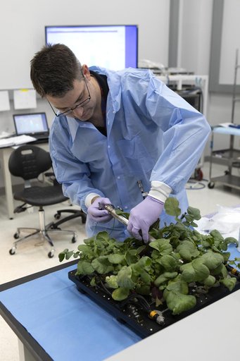 Advanced Plant Habitat (APH) Radish Harvest for PH-02