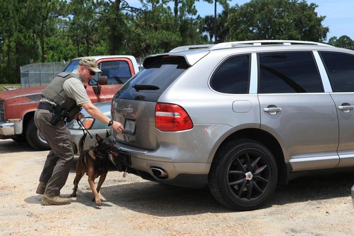 KSC Protectice Services - Working Dogs