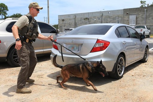 KSC Protectice Services - Working Dogs