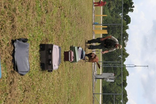 KSC Protectice Services - Working Dogs