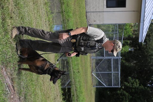 KSC Protectice Services - Working Dogs