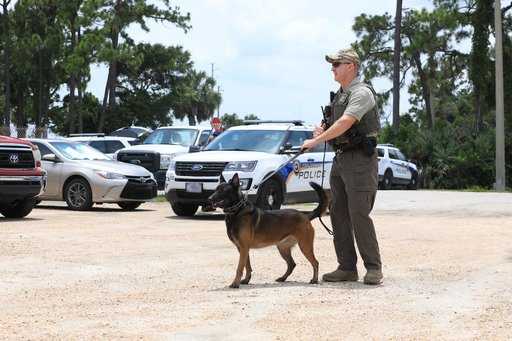KSC Protectice Services - Working Dogs