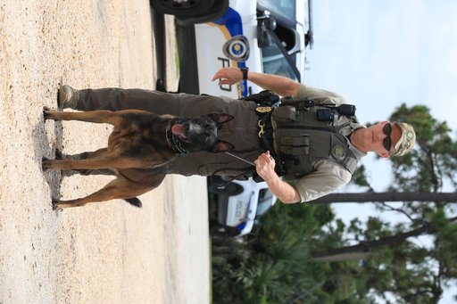 KSC Protectice Services - Working Dogs