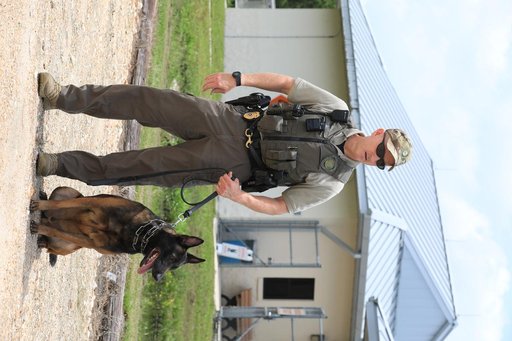 KSC Protectice Services - Working Dogs