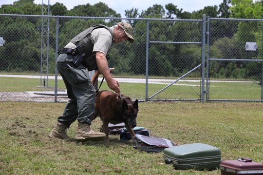 KSC Protectice Services - Working Dogs