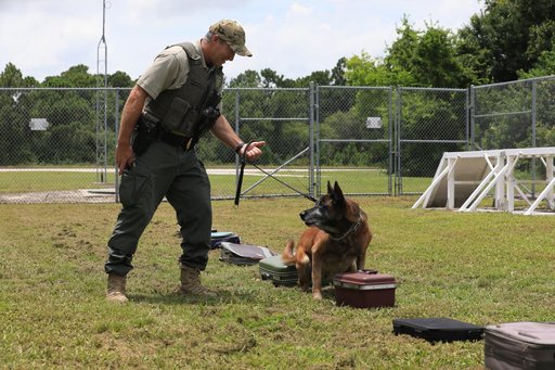 KSC Protectice Services - Working Dogs