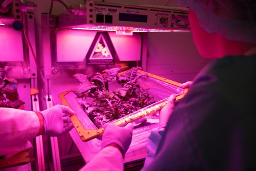 Science Verification Test Harvest