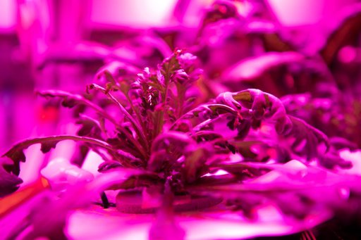 Science Verification Test Harvest