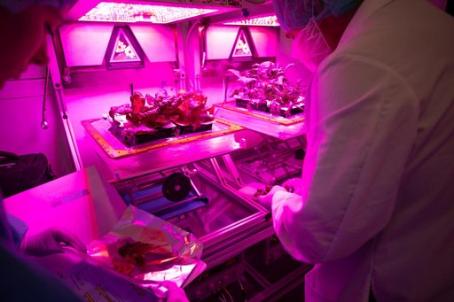 Science Verification Test Harvest