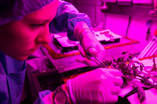Science Verification Test Harvest