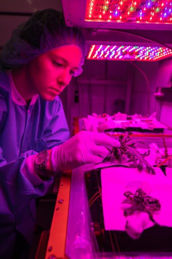 Science Verification Test Harvest