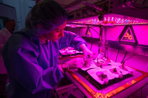 Science Verification Test Harvest