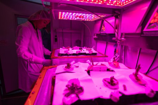 Science Verification Test Harvest