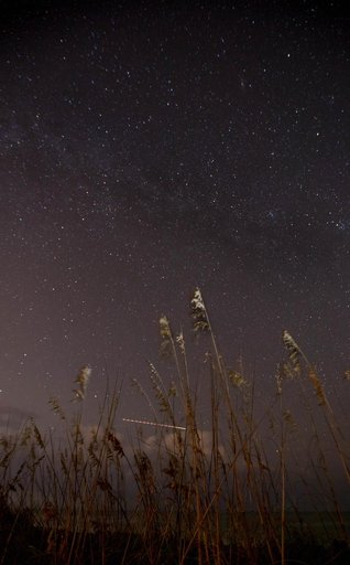Creative Photography - Night Sky