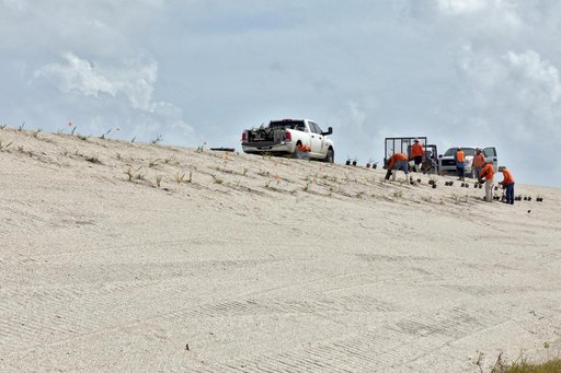 Dune Restoration - October 2018