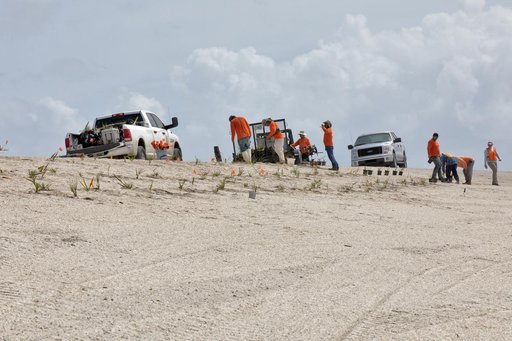 Dune Restoration - October 2018