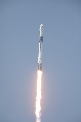 SpaceX Demo-2 Liftoff