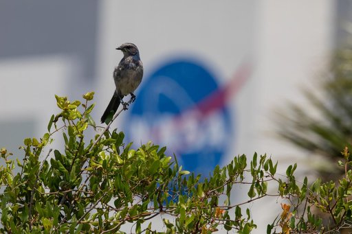 VAB Painting and Nature