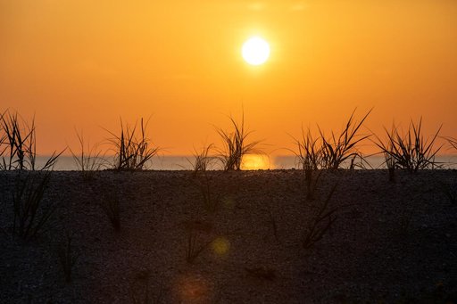 Creative Photography - Sunrise; Beach Restoration