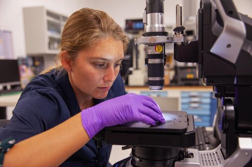 Engineering Labs Equipment