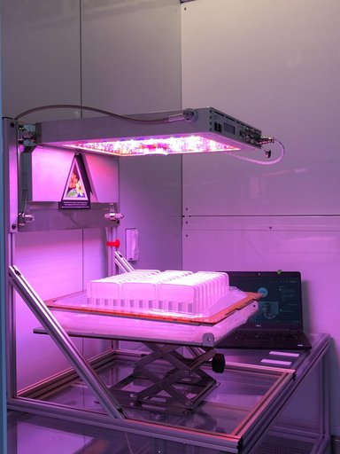 APEX-08 Experiment