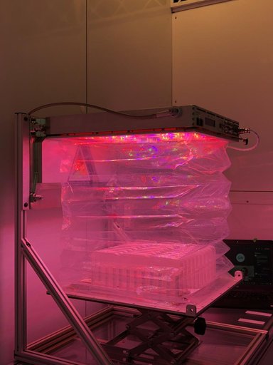 APEX-08 Experiment