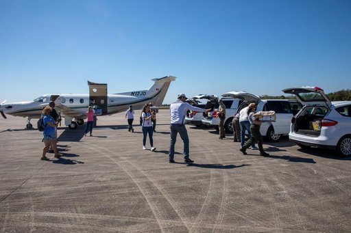 Rescued Sea Turtles Arrive at LLF