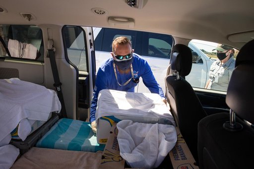 Rescued Sea Turtles Arrive at LLF