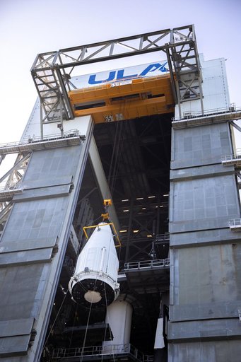 Lucy Rollout and Lift & Mate