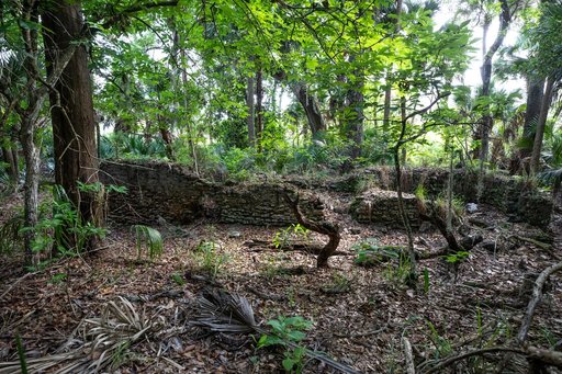 Elliot Plantation Site