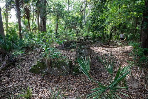 Elliot Plantation Site