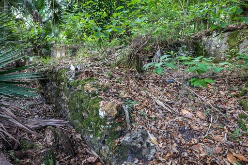 Elliot Plantation Site