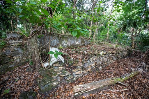 Elliot Plantation Site