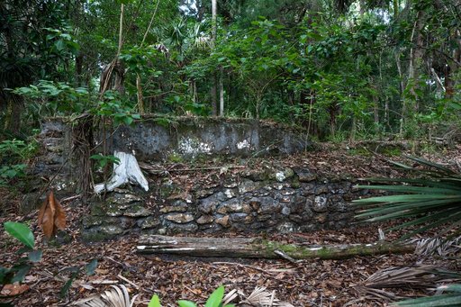 Elliot Plantation Site