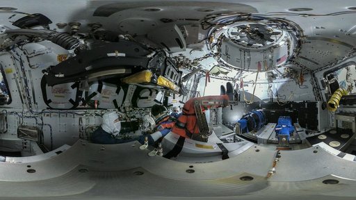 Artemis I Crew Module and Crew Access Arm Payloads