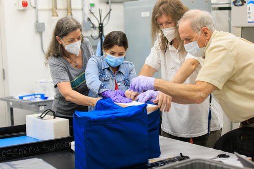 BioExpt-01 Handover to Orion