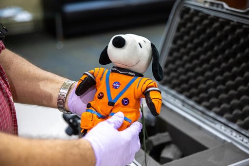 Artemis I Orion Post-Flight Payload Processing - Snoopy