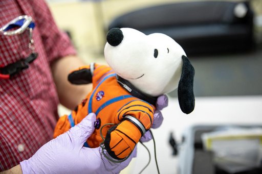 Artemis I Orion Post-Flight Payload Processing - Snoopy