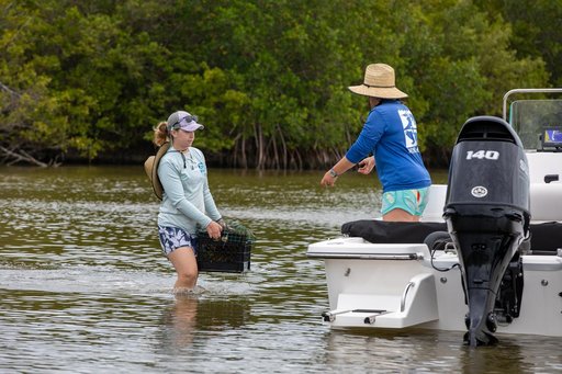Sea Grass Restoration Project