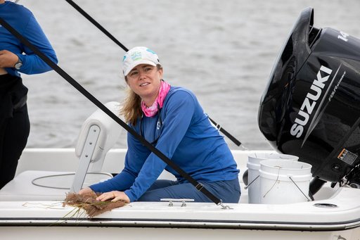 Sea Grass Restoration Project