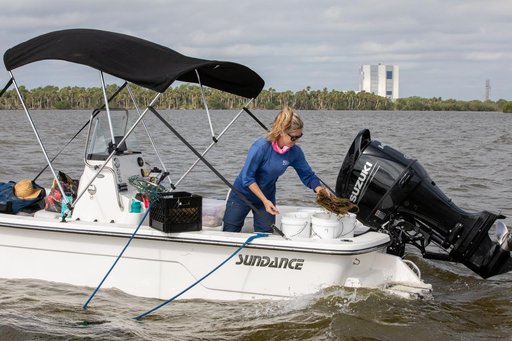 Sea Grass Restoration Project