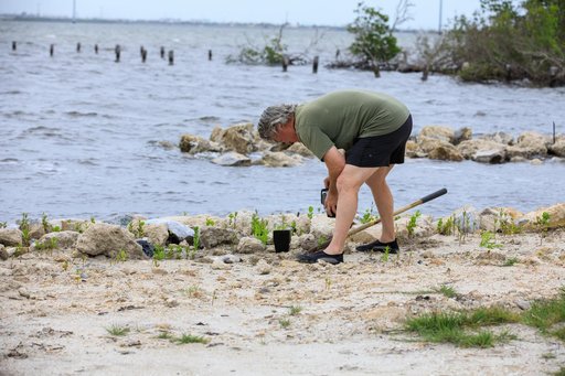 Mangrove Rescue/Restoration Project