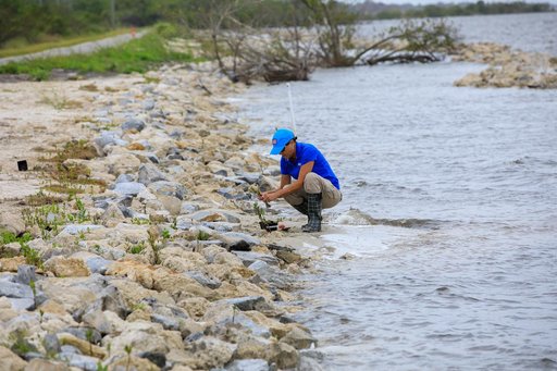 Mangrove Rescue/Restoration Project