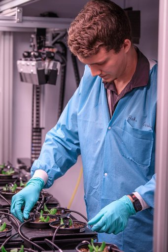 Plant Progress at the PPA