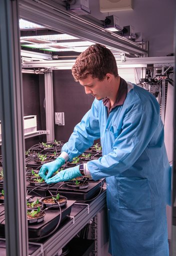 Plant Progress at the PPA