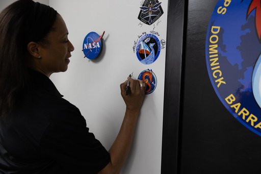 SpaceX Crew-8 Mission Logo (Zap the Wall)