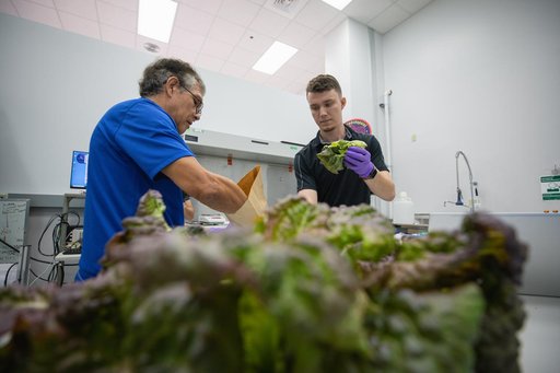 PH-07 Preflight Harvest